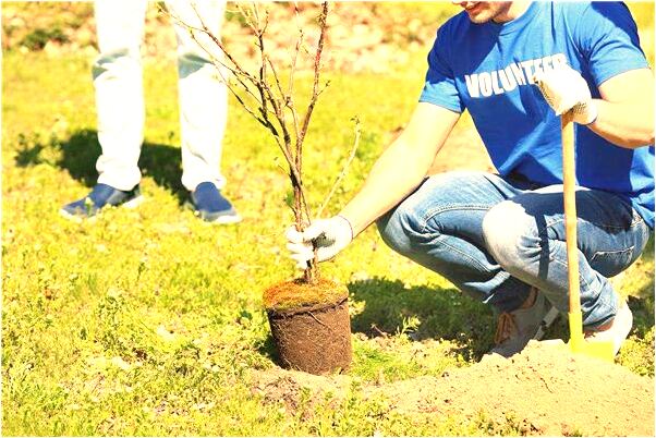 夢見捉了一隻小老鼠預示什麼_周公解夢官網
