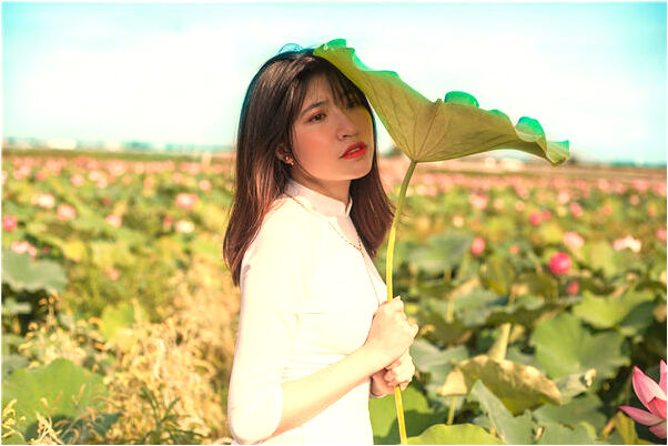 夢見車掉進坑後拖出有何寓意_周公解夢官網