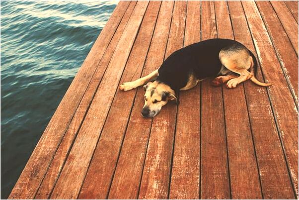 夢到了神仙送藥到廟裡有什麼預示嗎_周公解夢官網