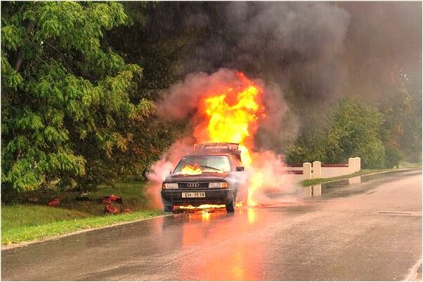 夢到了告白的白貓怎么回事_周公解夢官網