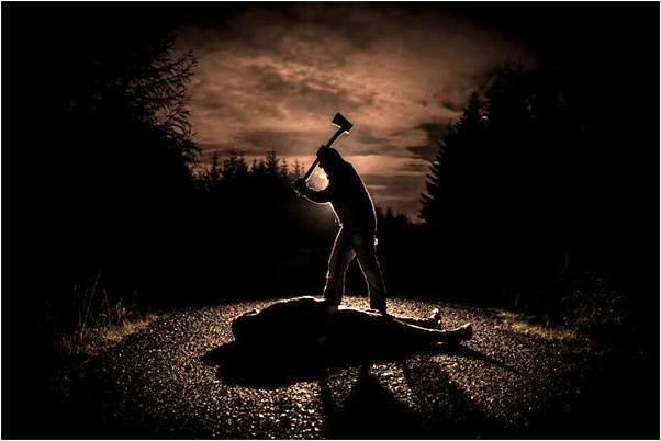 夢到我跟我老婆做愛意味著什麼_周公解夢官網