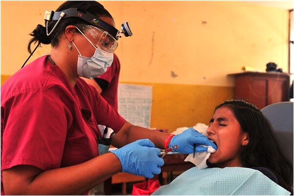 夢到了芙蓉艾草是啥預兆_周公解夢官網