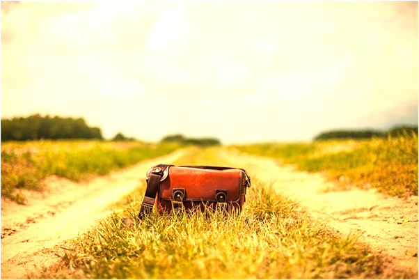 夢到了和老婆買小黑豬來養是好是壞_周公解夢官網