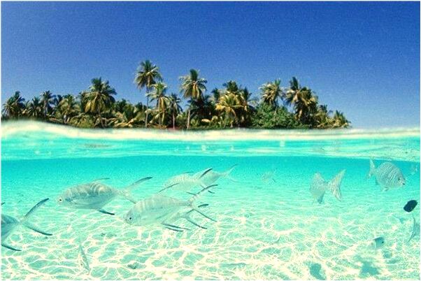 夢到老公領一男孩意味著什麼_周公解夢官網