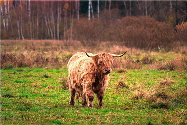 夢到了父親摔到山下有人救助會怎么樣_周公解夢官網