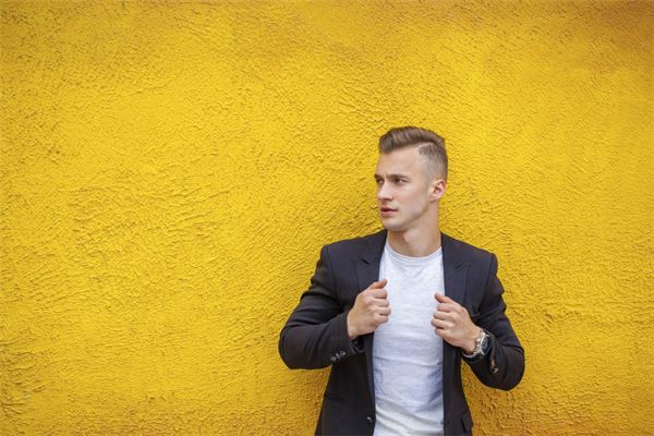 1956年屬什麼2021年運程_十二生肖