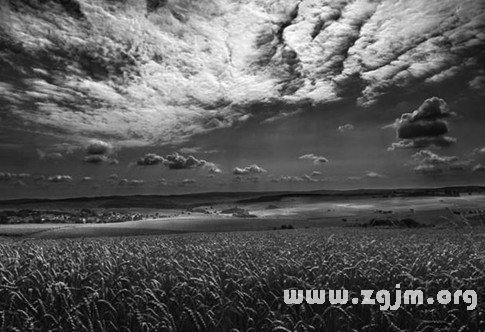 夢裡沒顏色代表的是受挫的經歷_周公解夢