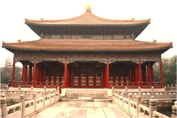 夢見烏龜追自己意味著什麼_周公解夢官網