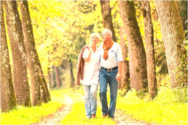 夢到了摘青茄子是什麼意思_周公解夢官網