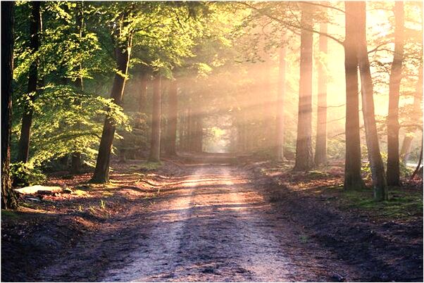 夢到被警察檢查怎么回事_周公解夢官網