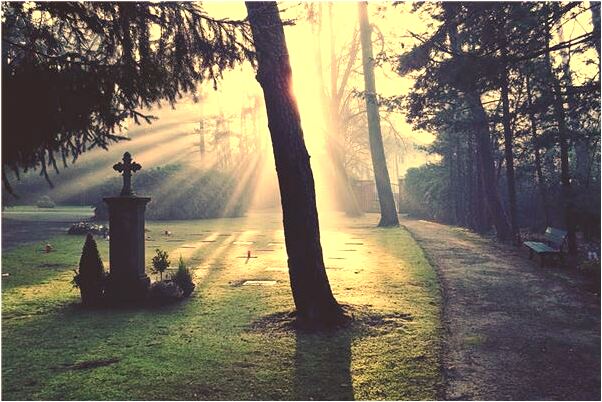 夢見一群狗把朋友圍著是不是好的徵兆呢_周公解夢官網