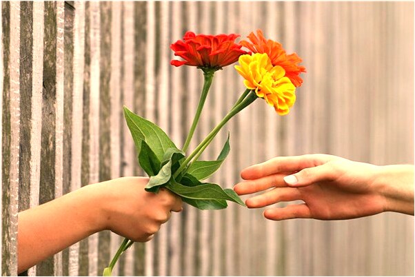 夢到換車早了有及時上車有什麼徵兆_周公解夢官網