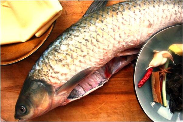 夢到我把蜻蜓打死了預示什麼_周公解夢官網