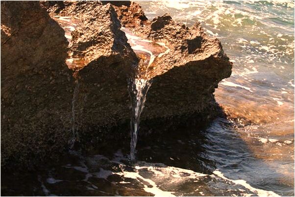 夢到了棗樹結果預示了什麼_周公解夢官網