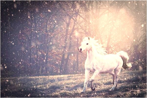 夢見愛人死了的預兆_周公解夢官網