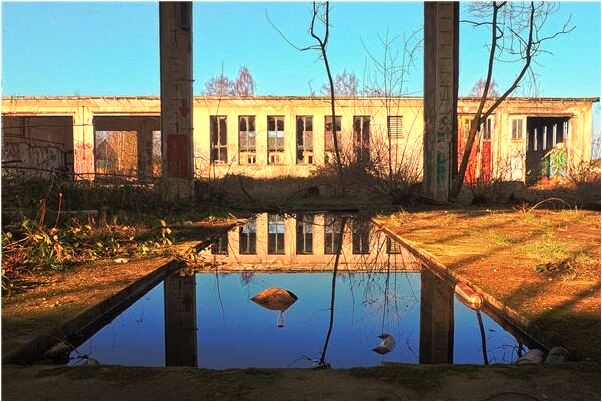 夢見和前男友有孩子了怎么說_周公解夢官網