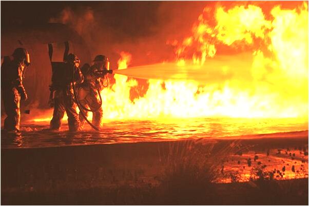 夢到別人給種子是什麼兆頭_周公解夢官網