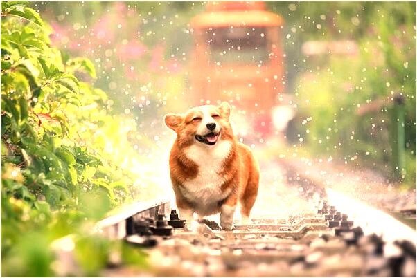 夢到嘴裡口香糖拔不儘是什麼徵兆_周公解夢官網