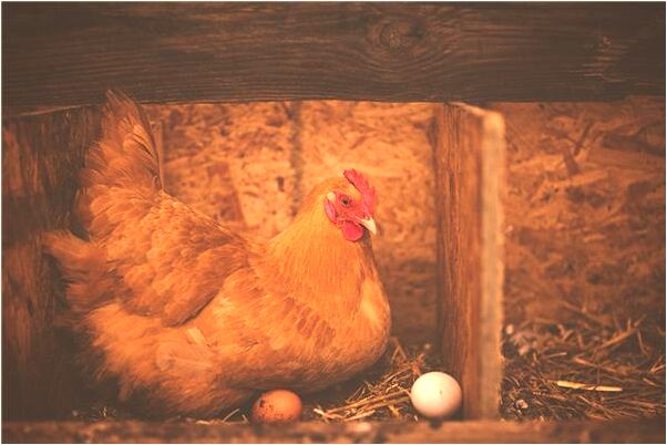 夢見自己開車翻下了坡人沒事預示什麼_周公解夢官網