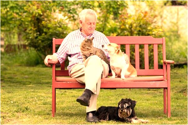 夢見被人劫道要錢意味著什麼_周公解夢官網