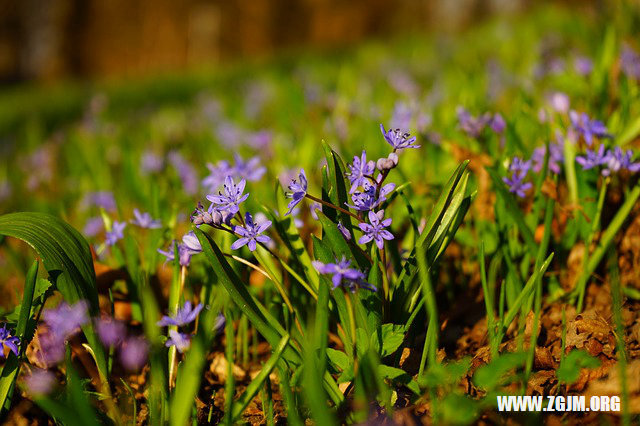 夢見針在手裡面被拔掉了_周公解夢夢到針在手裡面被拔掉了是什麼意思_做夢夢見針在手裡面被拔掉了好不好_周公解夢官網