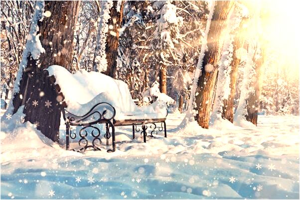 夢見大樹倒蜘蛛網纏身是吉兆嗎?_周公解夢官網