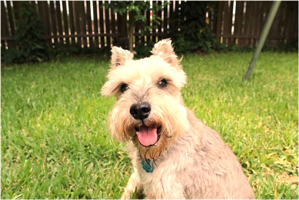 夢到了數學考試不及格是什麼意思_周公解夢官網