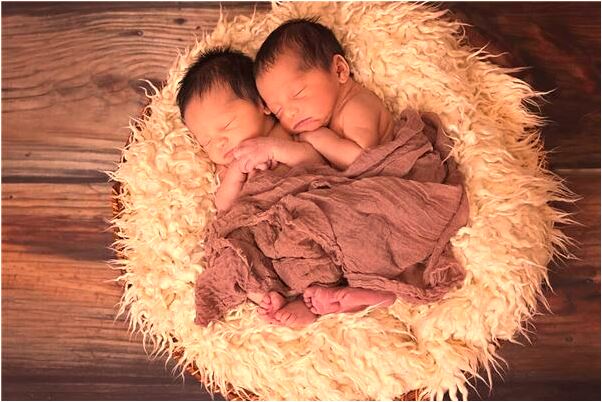 夢到了父親墳上長了金錢草是啥預兆_周公解夢官網