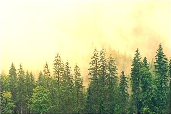 夢到了和妹子吵架是什麼意思？_周公解夢官網