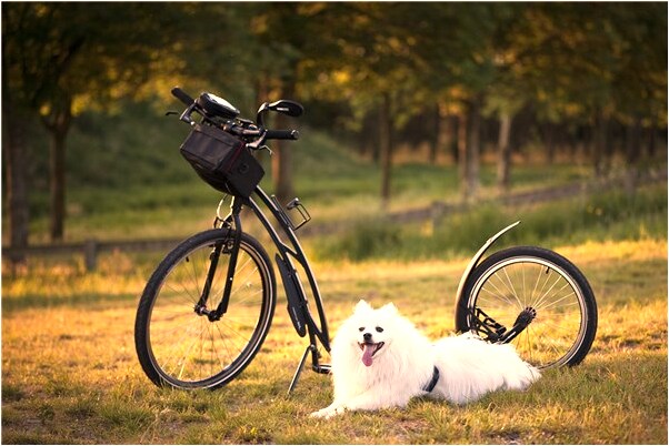 夢到了躲各種噴水是好是壞_周公解夢官網