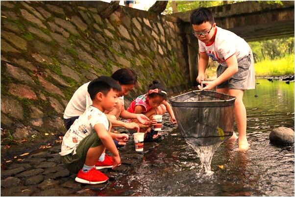 夢見鬍子翱預示著什麼_周公解夢官網