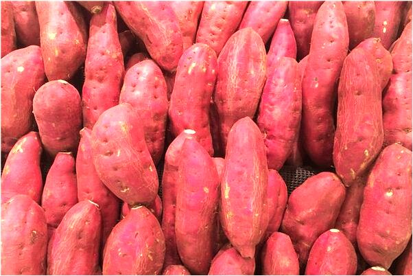 夢見與朋友妻偷情是好是壞_周公解夢官網