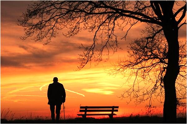 夢到了女人一條大蟒蛇有什麼寓意嗎_周公解夢官網