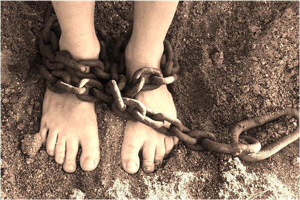 夢到了兩隻狗跑到我床上來有什麼預示嗎_周公解夢官網