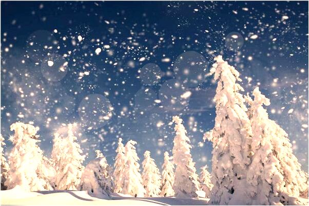 夢到了自己熟睡在灑滿鮮花的床上是什麼預兆_周公解夢官網