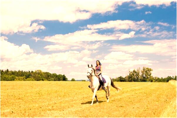 夢見自己嫁跟已婚的舅舅是什麼預兆?_周公解夢官網