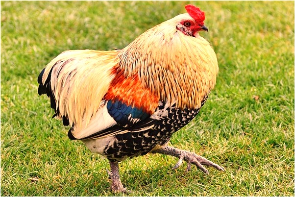 夢到了前夫的媽媽給我錢怎么回事_周公解夢官網