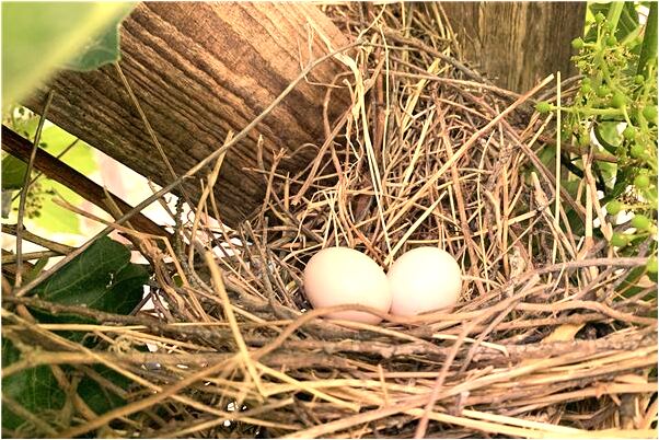 夢見陌生女人為我準備拖鞋是好是壞_周公解夢官網
