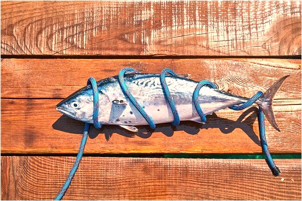 夢到古文賞析什麼預兆_周公解夢官網