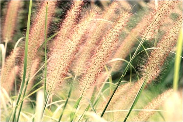 夢到了找回前男友送的飾品的預兆_周公解夢官網