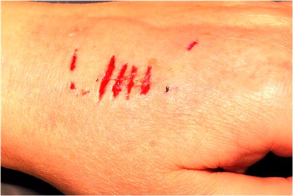 夢見別人給鞋是什麼預兆_周公解夢官網