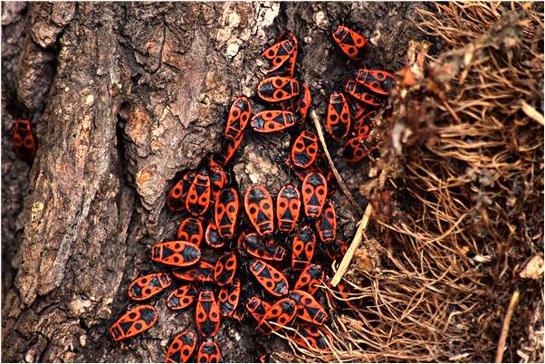 夢到活著的親人鬼上身有什麼說法_周公解夢官網