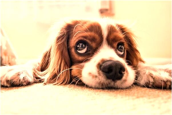 夢到了手指被扎出血救人有什麼預兆_周公解夢官網