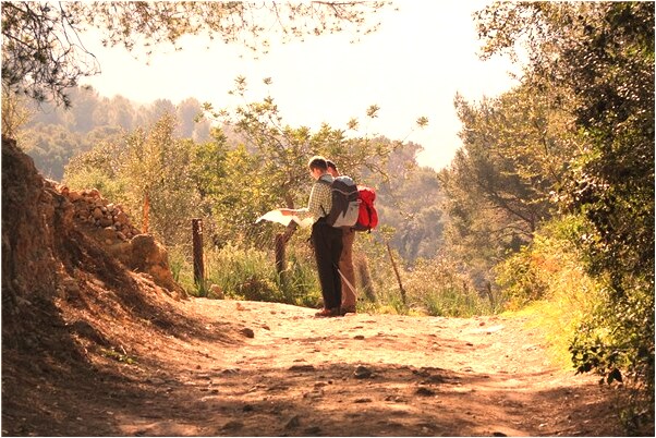夢見女人餵馬草代表什麼_周公解夢官網