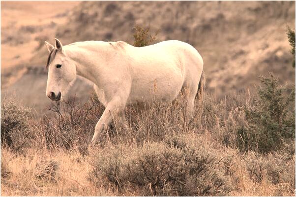 夢見小孩拉粑粑抹一身什麼寓意_周公解夢官網