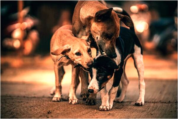 夢到我腳板疼的預兆_周公解夢官網