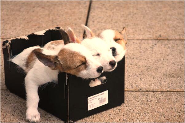 夢見開別人的車蹭到牆角了有什麼預示嗎_周公解夢官網