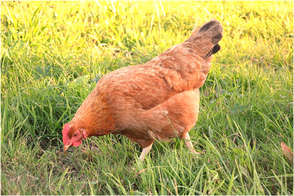 夢到女朋友中十幾萬是好的徵兆嗎_周公解夢官網