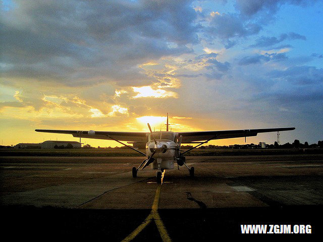 夢見抓了好多蟬蛹_周公解夢夢到抓了好多蟬蛹是什麼意思_做夢夢見抓了好多蟬蛹好不好_周公解夢官網