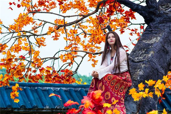 沖龍煞北可以化解嗎_十二生肖